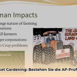 AP_Humangeographie_Landwirtschaft_Market_Gardening_edited