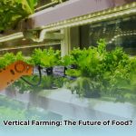 Future_of_vertical_farming_edited