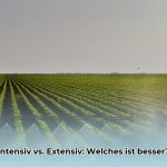 Intensive_Landwirtschaft_vs_edited