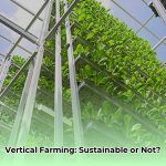 Low_carbon_vertical_farming_edited