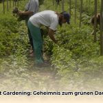 Market_Gardening_Definition_und_Beispiele_edited