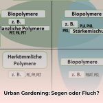 Markt_Gartenbau_Vor__und_Nachteile_AP_Humangeographie_edited