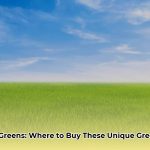 Sky_Greens_leafy_greens_edited