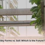 Sky_Greens_vs_traditional_farming_edited