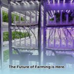 Vertical_farming_solutions_edited