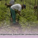 Wie_beeinflusst_Market_Gardening_die_Landnutzung__edited