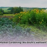 Wo_findet_Market_Gardening_statt__edited