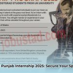sti_internship_program_2025_punjab__complete_guide_edited