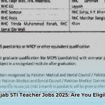 sti_jobs_2025_punjab_eligibility_criteria_for_primary_level_edited
