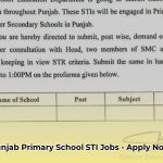 sti_jobs_2025_punjab_for_primary_edited