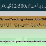 sti_jobs_2025_punjab_monthly_stipend_breakdown_by_level_edited