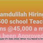 sti_jobs_2025_in_punjab__FAQs_and_answers_edited