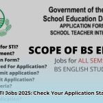 sti_jobs_2025_punjab_application_status_check_edited