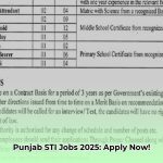 sti_jobs_2025_punjab_domicile_requirements_edited