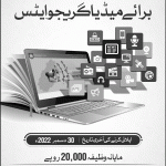 sti_jobs_2025_punjab_government_school_teaching_internship