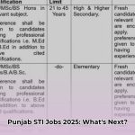 sti_jobs_2025_punjab_higher_secondary_school_vacancies_edited