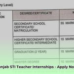 sti_jobs_2025_punjab_male_and_female_vacancies_edited
