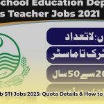 sti_jobs_2025_punjab_quota_system_details_edited