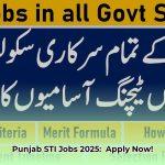 sti_jobs_2025_punjab_training_and_development_edited