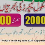 sti_teaching_jobs_2025_punjab__official_website_link_edited