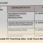 sti_teaching_jobs_2025_punjab__selection_criteria_edited