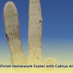 cactusai_edited