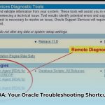 remote_diagnostic_agent_edited