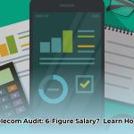 telecom_auditor_edited