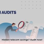 telecom_invoice_audit_edited
