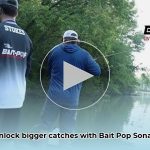bait_pop_edited