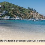 beaches_in_catalina_edited