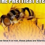 bee_jokes_edited