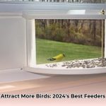 bird_feeder_for_window_edited