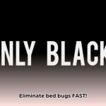 black_bed_bugs_edited